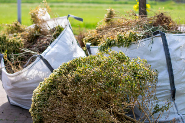 Best Estate Cleanout  in Tabor City, NC